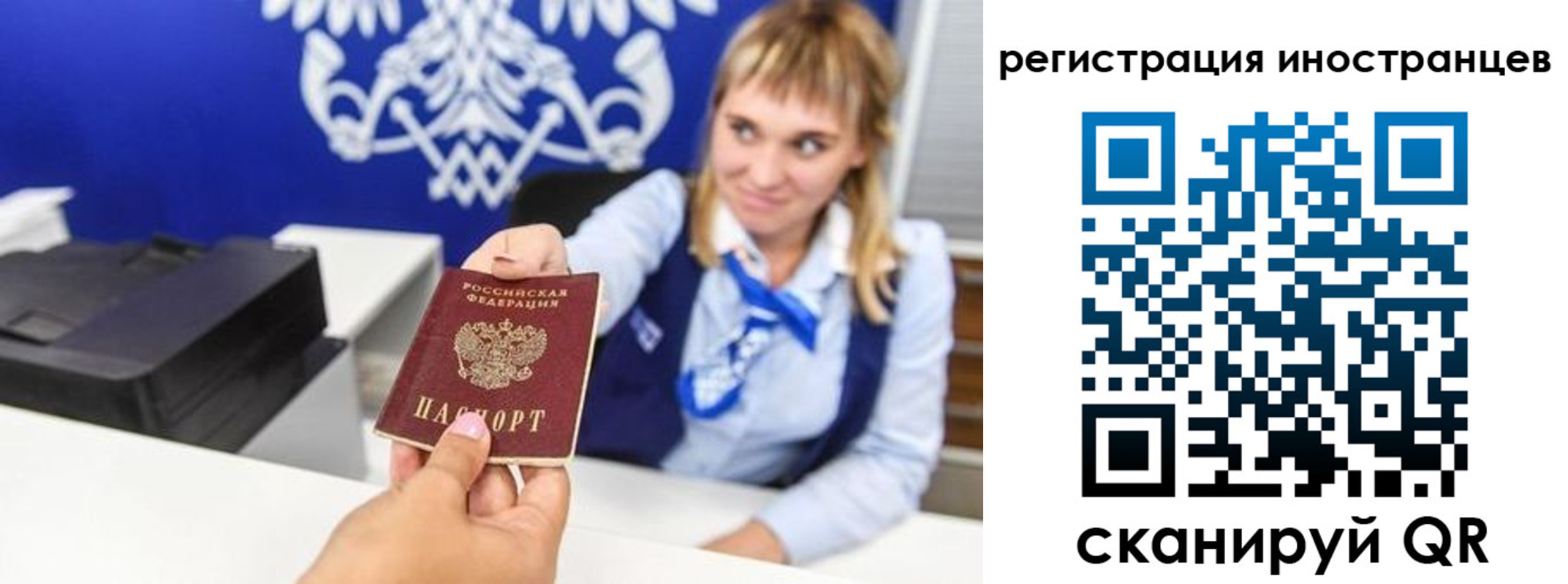 временная регистрация поиск в Белой Холунице